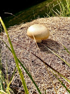 20141023.jpg