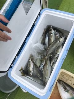 20156252.jpg