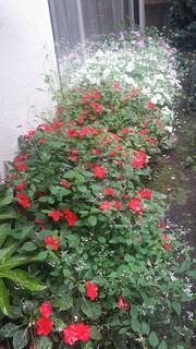 201610251.jpg