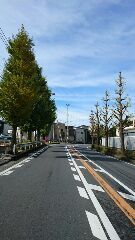 201611222.jpg