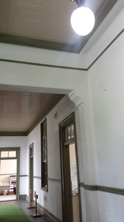 20176142.jpg