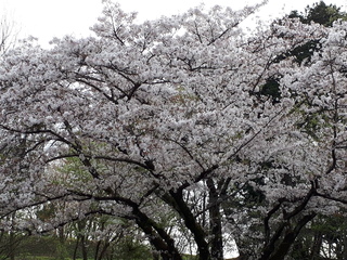 201805081.jpg
