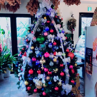 201812241.jpg