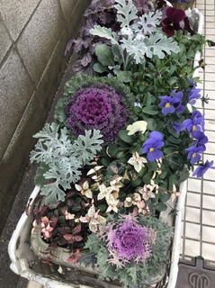 20182183.jpg