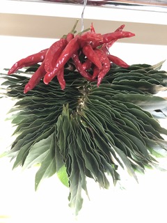 201912242.jpg