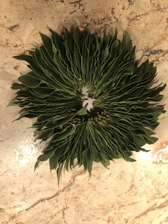 201912243.jpg