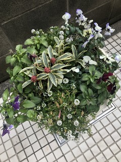 20192181.jpg
