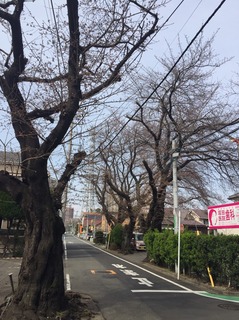 20193301.jpg
