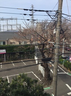 20193302.jpg