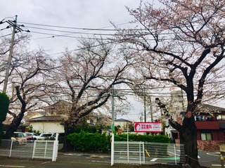 20193303.jpg