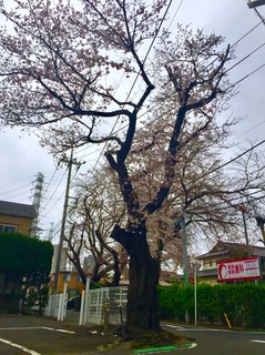 20193305.jpg