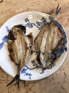20196258.jpg
