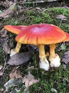 20197167.jpg
