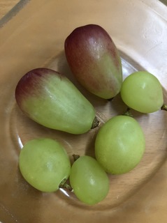 20198272.jpg
