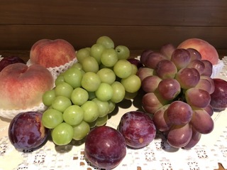 201998271.jpg