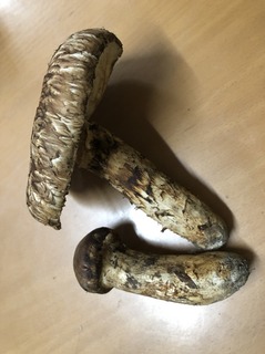 S__8216595.jpg